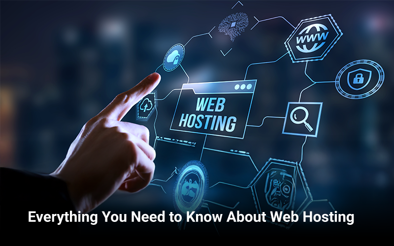 Cheap and Affordable Web Hosting in Nepal Best Options for 2026 — Nexirotech
